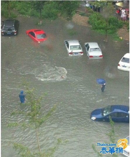 北京暴雨  汽车当船开  老外街头马路上仰泳