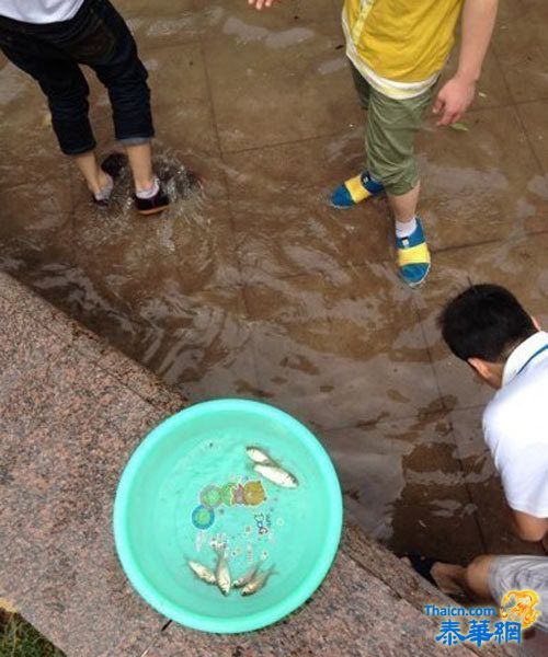 天津遭遇暴雨袭击一片汪洋 市民不忘"雨中取乐"