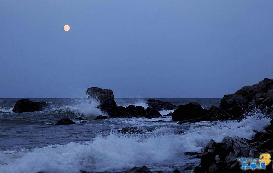 海上升明月、活体嫦娥送月饼（摘自网络）