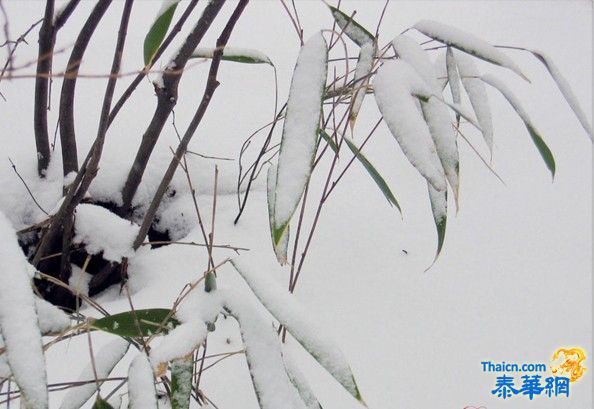 中国下雪了