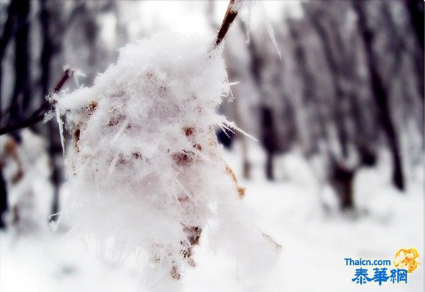 中国下雪了