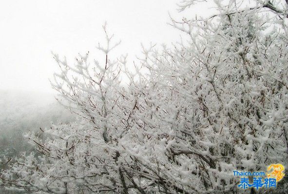 中国下雪了