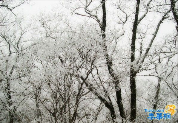 中国下雪了