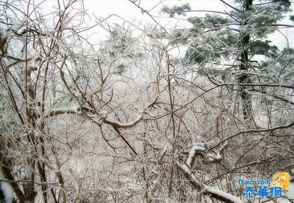 中国下雪了