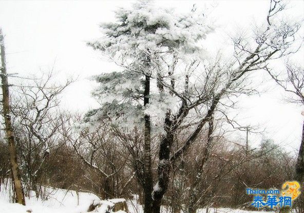 中国下雪了