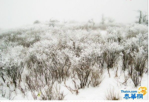 中国下雪了