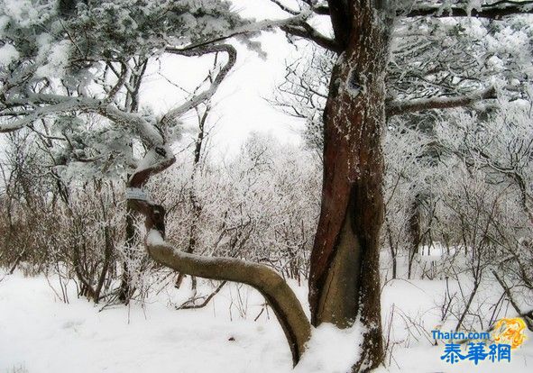 中国下雪了