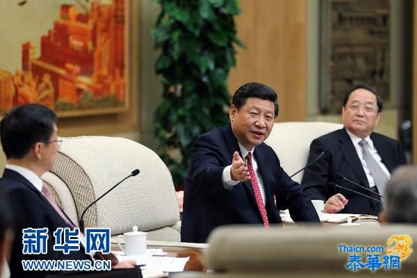 习近平：十八大宣示党将举什么旗走什么路