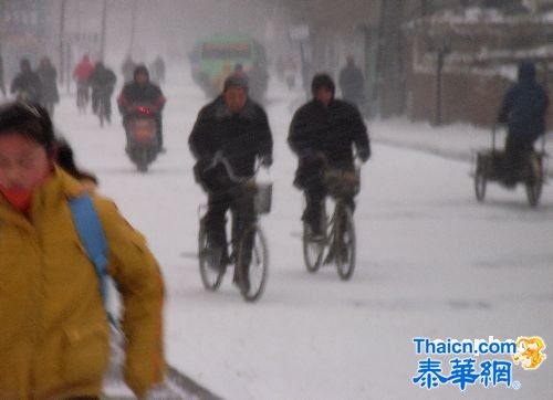 山东大部地区迎降雪 全省高速公路封闭