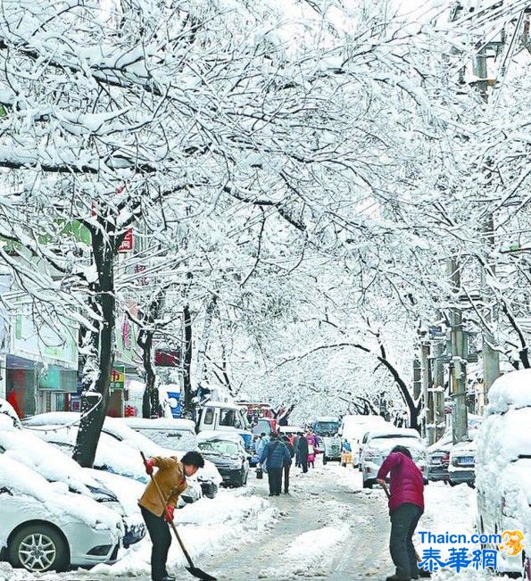 中国华东地区下大雪 了