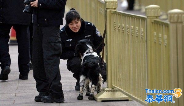 两会警犬"穿鞋"上岗