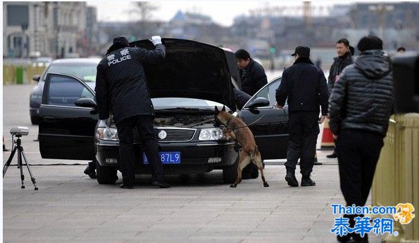 两会警犬"穿鞋"上岗