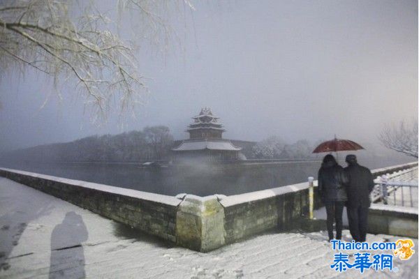 北京一夜大雪 满树雪挂