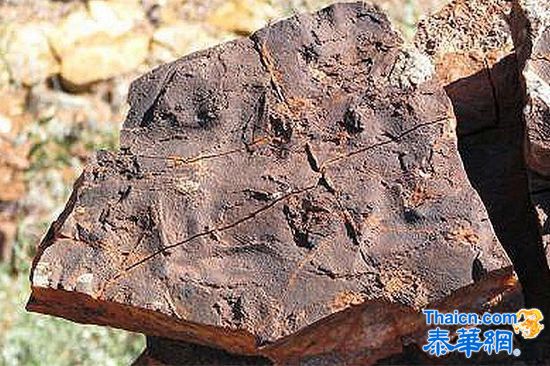 科学家发现地球最古老生命体 恶臭难闻