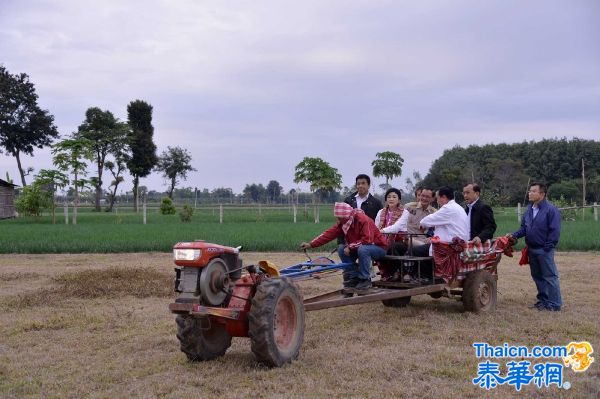 总理兼国防部长英拉在四色菊府等地考察农业