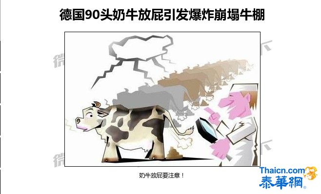 希罕事：德国90头奶牛放屁引发爆炸崩塌牛棚