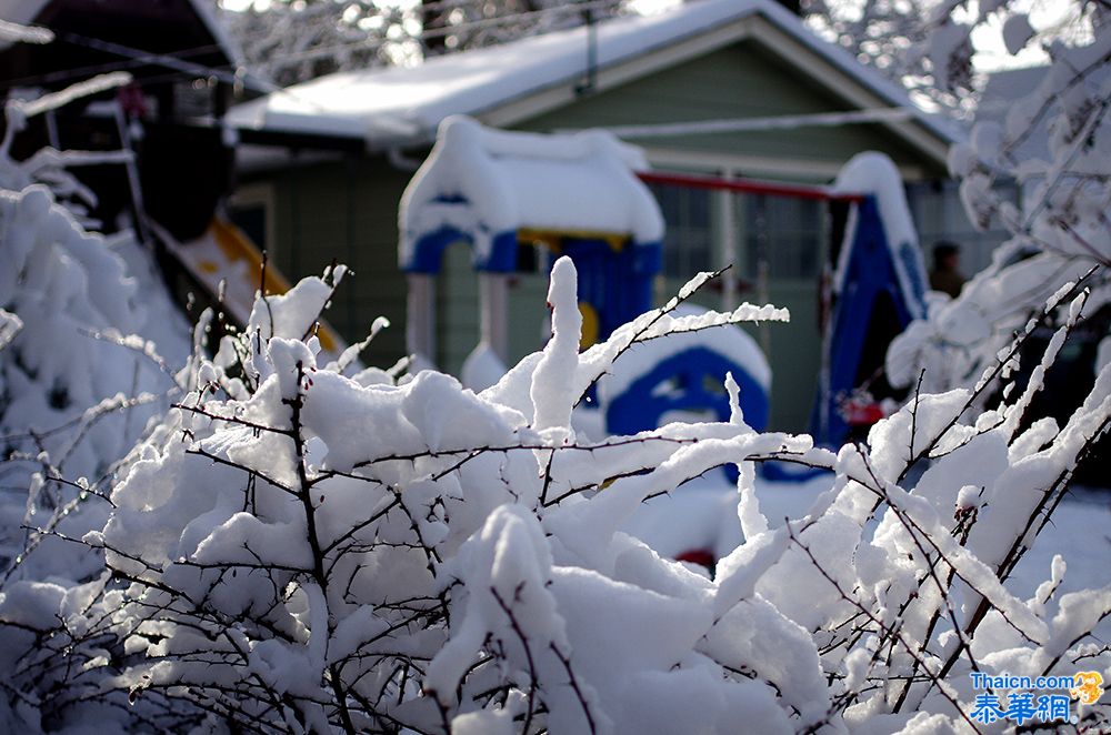 又下大雪了