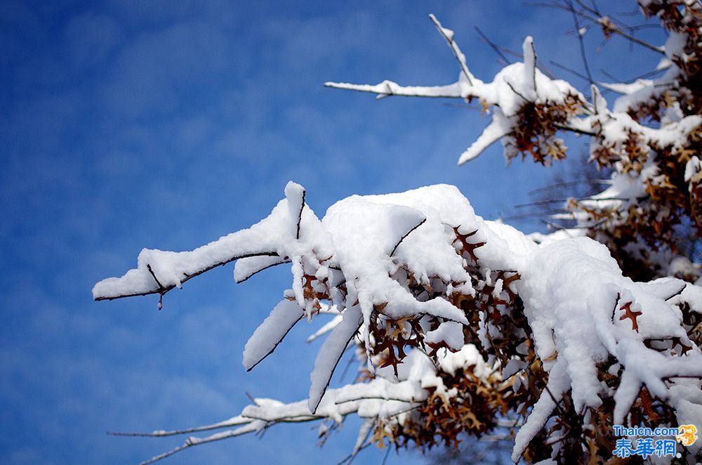 又下大雪了