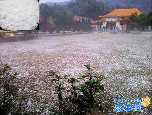 泰北及东北部暴风雨冰雹成灾导致7581户居民无家可归