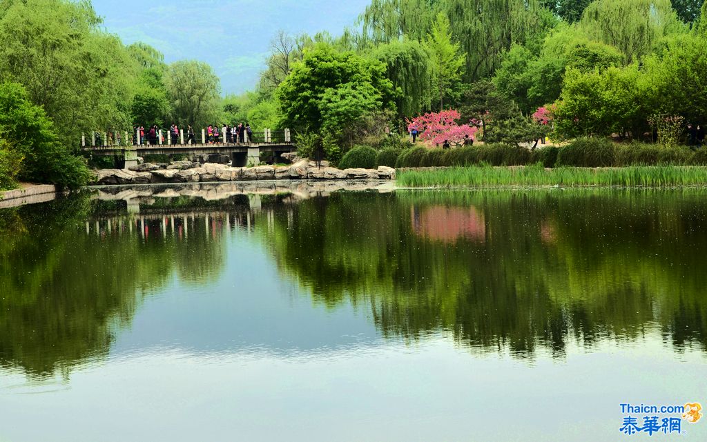 京城植物园观花