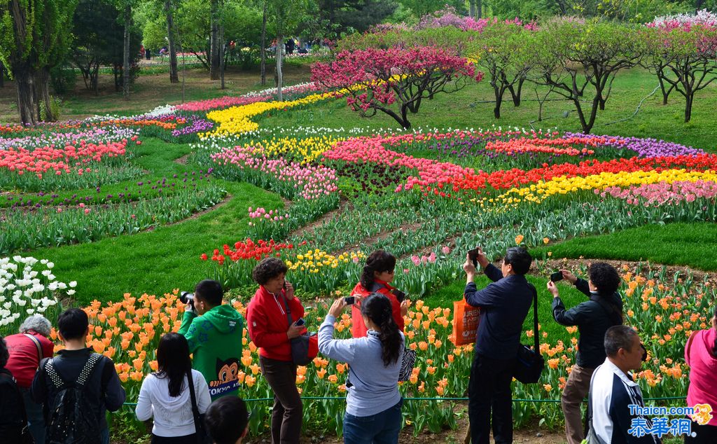 京城植物园观花