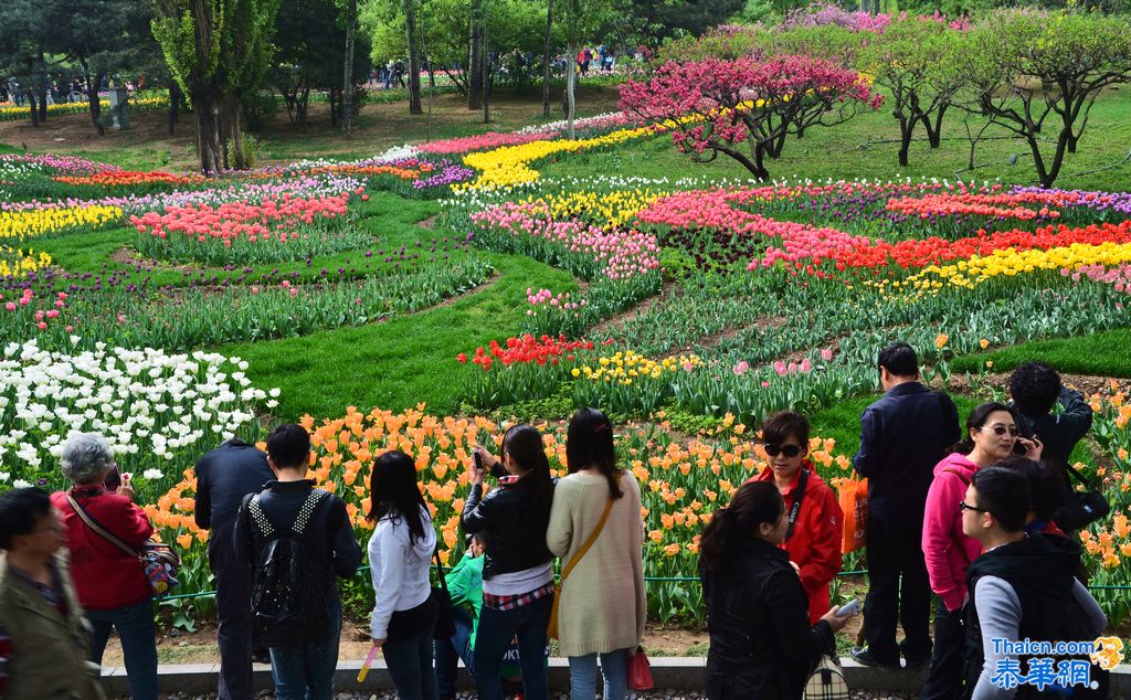 京城植物园观花