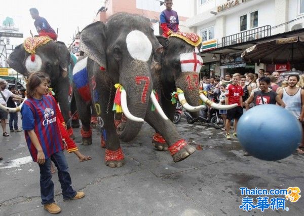 泰国办大象足球赛促进旅游业恢复