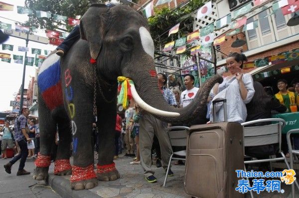 泰国办大象足球赛促进旅游业恢复