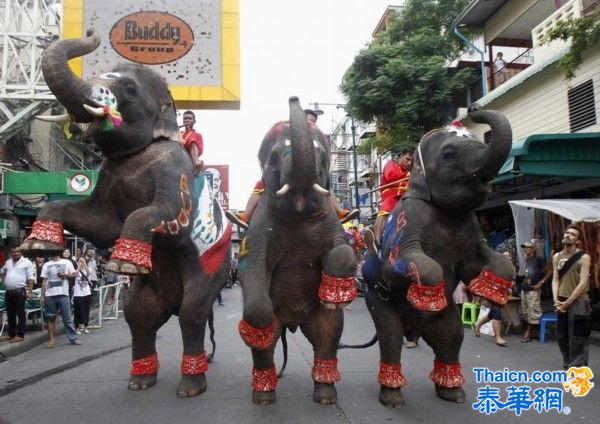 泰国办大象足球赛促进旅游业恢复