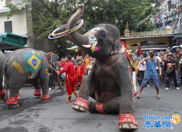 泰国办大象足球赛促进旅游业恢复