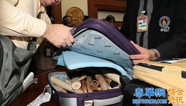 中国女子走私象牙 泰国机场被捕