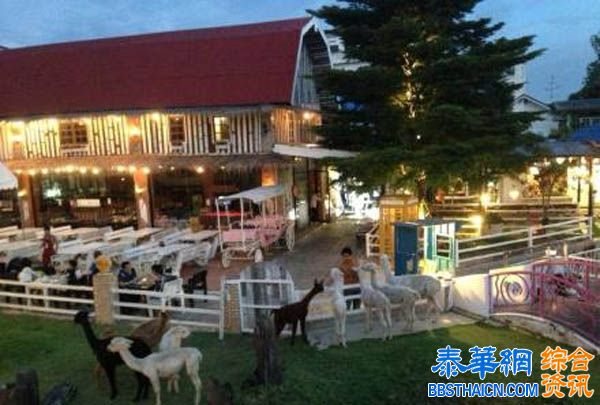 曼谷农场动物主题餐厅---Alpaca View Farm & Cuisine