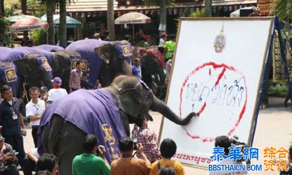 今天是第三个世界大象日，旨在呼吁人们关注身处困境的非洲象和亚洲象