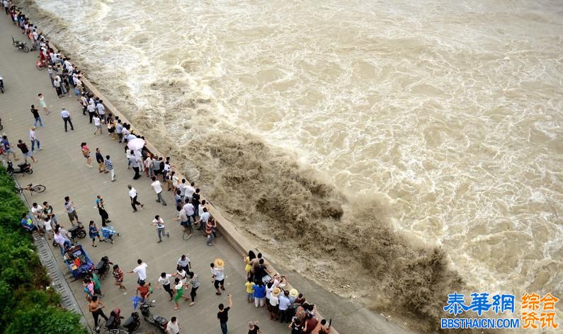 浙江杭州有望汛大潮，俗称「鬼王潮」