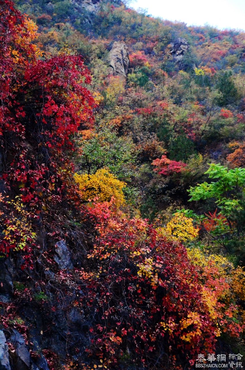 燕山古道看秋景