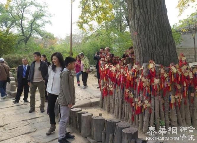 前总理英拉;塔信北京参拜龙泉寺