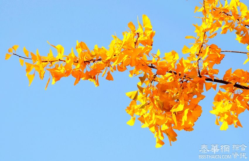 北京色彩最美的季节