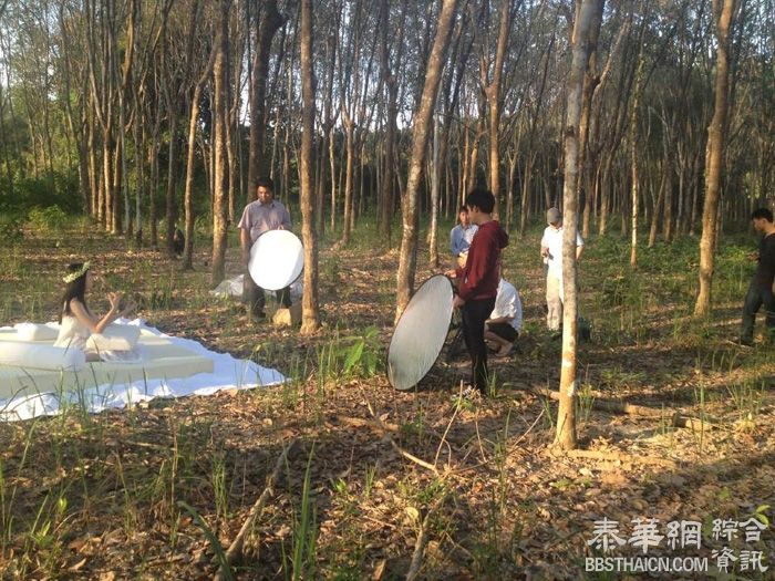 【2014-12-30】泰国SavoDik天然乳胶床垫广告在罗勇新远大橡胶林拍摄花絮