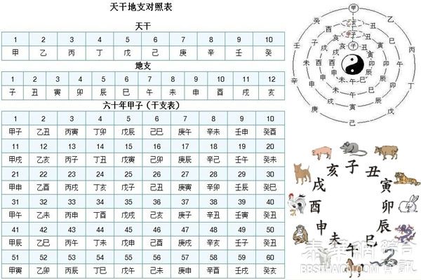 天干地支的排列组合是一门科学