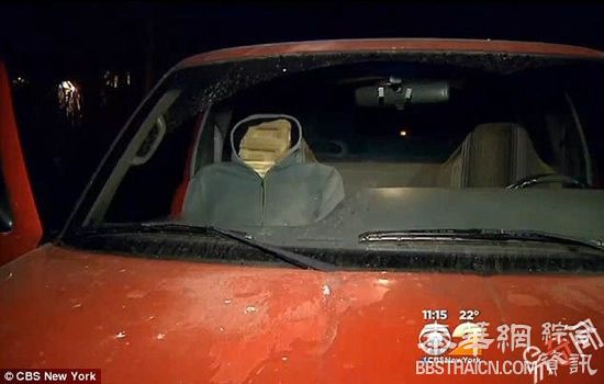 大叔车载木头人走共乘车道被捕 警察看到也笑了