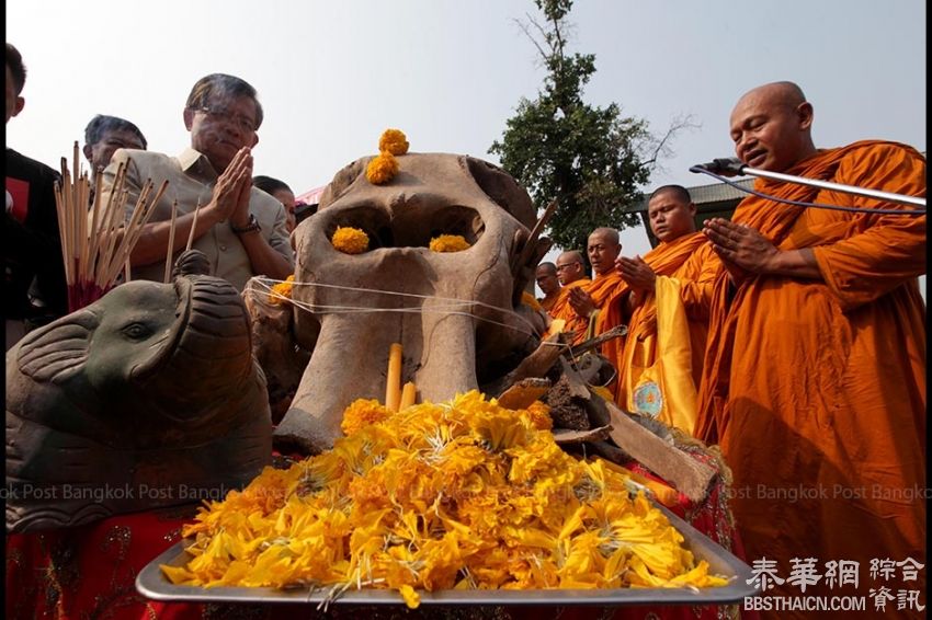佳节祥瑞  人象同欢