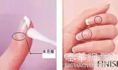 你的寿命有多长,手指头来告诉你