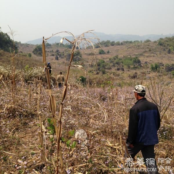 缅甸仍辩称未越境执行任务，中方回击“缅军机投弹事实清楚” 缅甸仍辩称未越境执行任务，中方回击“缅军机投弹事实清楚”