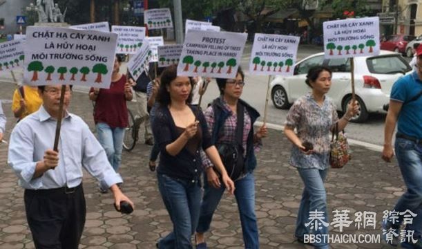 越南河内砍树激起公愤 政府被迫转弯