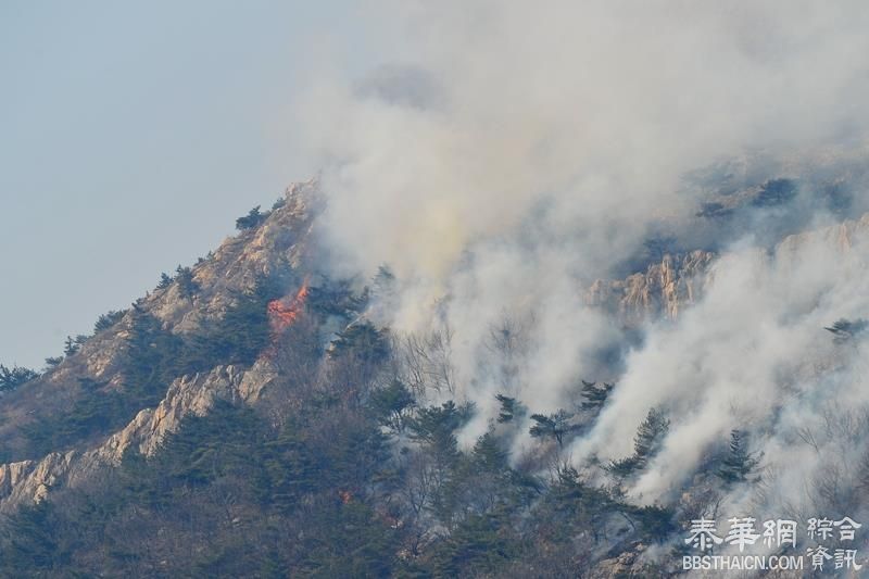 辽宁突发森林大火 网友：像火山爆发