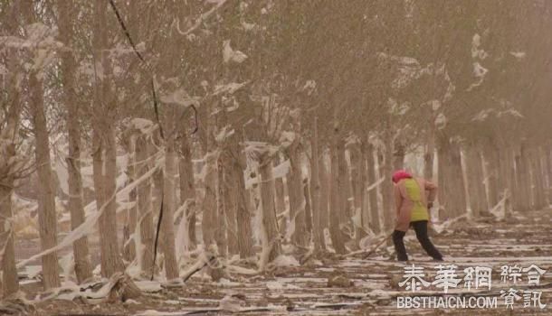 中国官方承认农业污染总体不乐观，土壤重金属污染恐成公害