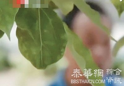 睾丸被“装反”7年　江西乐平男子痛告乌龙医院