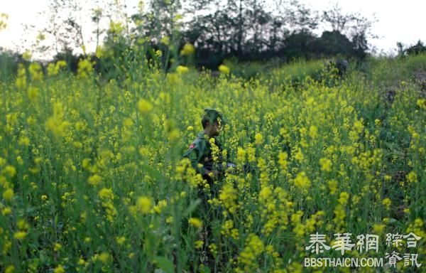 缅甸炮弹炸伤云南边民，中国外交部：中方正等待缅方正式通报