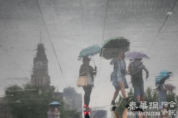 暴雨雷电黄色警报双响，上海迎来今年入汛以来最大降雨