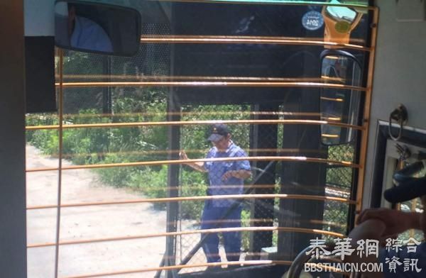 上海野生动物园内多辆观光车被困猛兽区，疑因电缆故障所致